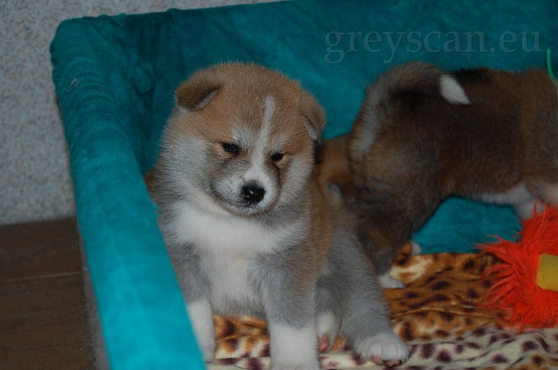 16 jsem také přemýšlivý.jpg